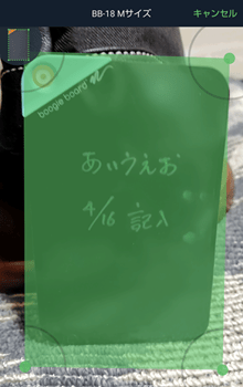 BoogieBoardSCANの使用画面