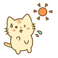 直射日光イメージ